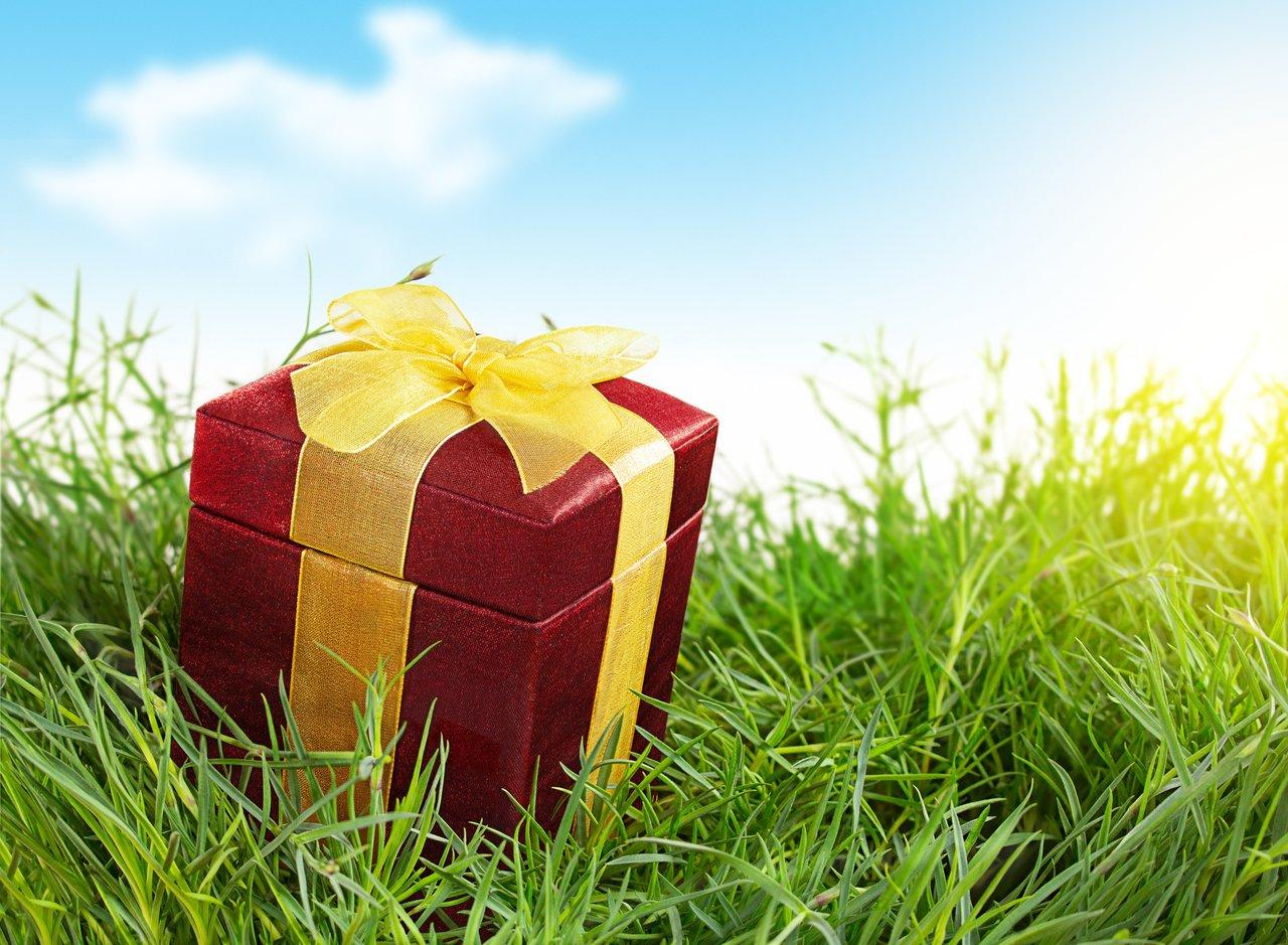 Programme de fidélité spring loyalty program avec offres personnalisées pour renforcer l'engagement client.